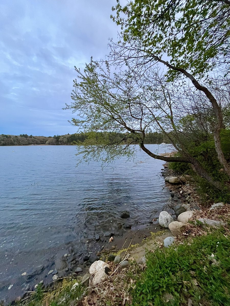 feli_casey's tweet photo. ~ good evening ~ 🍃 https://t.co/KJ4jwGN3ri