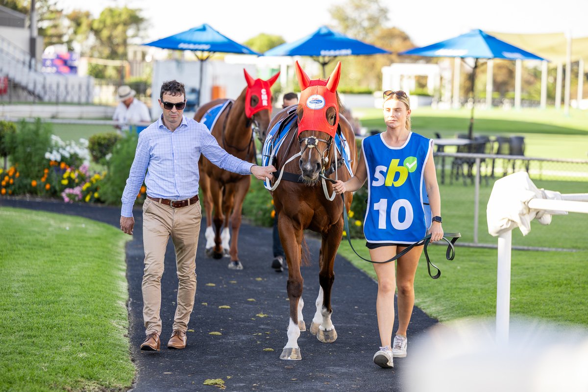 Morphettville | April 26

Headlining our team is Prairie Flower in the G1 Robert Sangster Stakes, the team is also represented by La Defense (G3), Kuroyanagi (G2), Episodic (G2),  and rounding out the day is Sachem in the last.

Good luck to all of the connections.