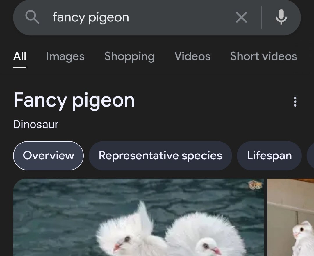 Avos (@verybigpigeon) / Posts / X