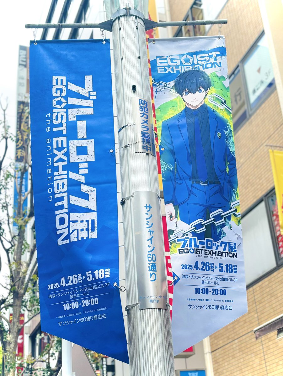zenmai_chito's tweet photo. フラッグ〜！ https://t.co/LX2titwL0v