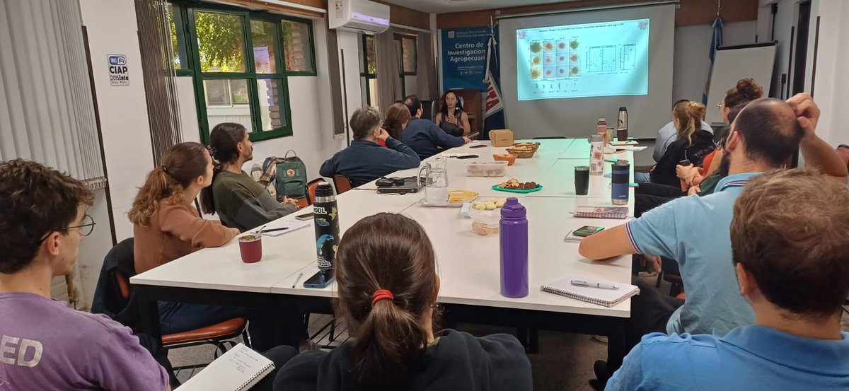 LauraLSaavedra's tweet photo. Hoy @georpettinari nos regaló una presentación hermosa de sus resultados de doctorado en el seminario de grupo!!! Recta final, felicitaciones! ✨🌱#Physcomitrium, #autofagia, #ComplejosPI3K. https://t.co/mtniVBMJrD