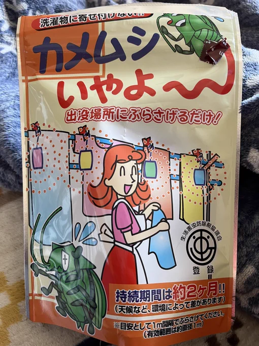 今年もそろそろカメムシの姿を散見するようになったのでぶら下げた
効くんだこれが
なんで効くのかわからんビジュアルだし原材料なのに
名前も「カメムシいやよ〰️」などというやつなのに 