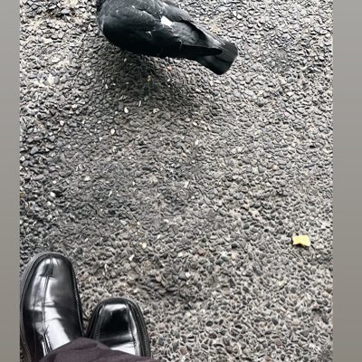 TreyTimeOver's tweet image. #NuevaFotoDePerfil