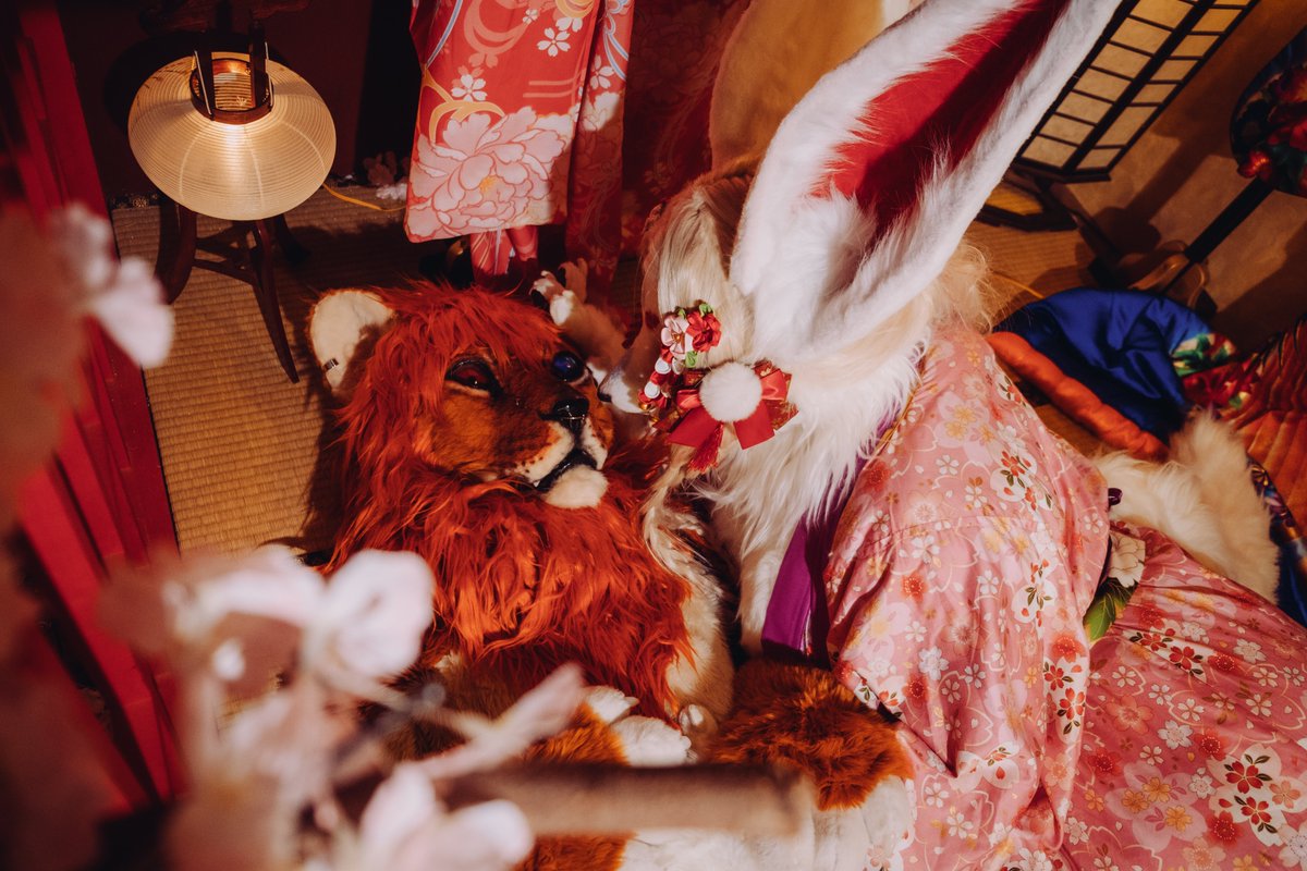 寂しい子ライオンちゃん、今夜はお姉さんキツネがそっと寄り添ってあげる💖

小小獅子今夜感到寂寞嗎？別怕，妾身這隻狐狸姊姊，會溫柔地陪你直到天明😋💕

Lonely little lion, let this fox onee-san comfort your heart tonight…❤️‍🔥

📸 : <a href="/DD_Woof/">🐾ㄉㄉ🔜 UTFG</a> 

#FursuitFriday