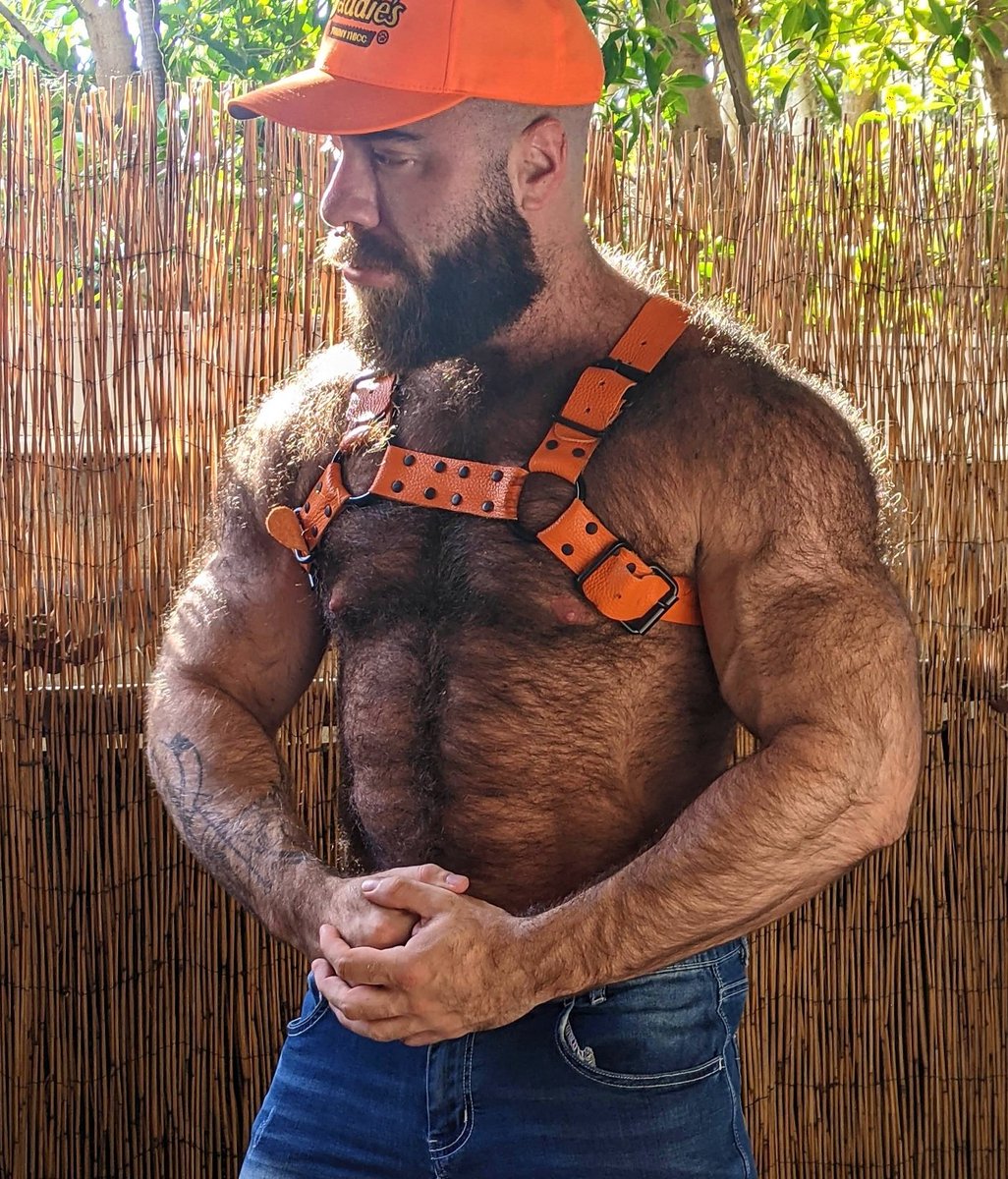 otterjock (@otter_jock) on Twitter photo Want a leather harness?
Use code "TEDDY" for an extra 10% off a handmade leather harness from otterjock.com 10 colors available.
Thanks to <a href="/mrteddybeargr_/">Michael Volkar</a> for modeling this orange one. 🍊🔥🐻 Want a leather harness?
Use code "TEDDY" for an extra 10% off a handmade leather harness from otterjock.com 10 colors available.
Thanks to <a href="/mrteddybeargr_/">Michael Volkar</a> for modeling this orange one. 🍊🔥🐻