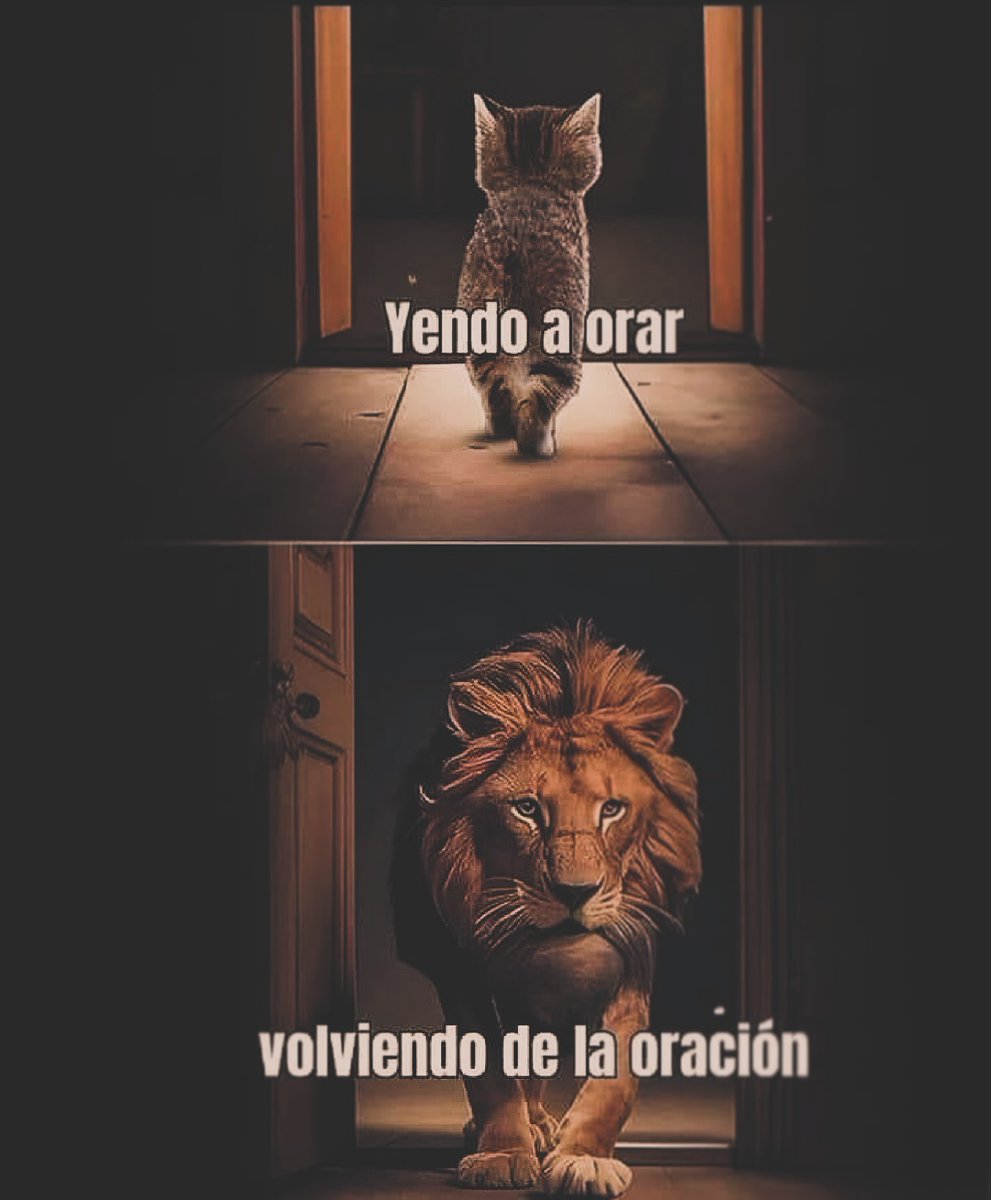 DIOS Une a Sus Hijos (@diosunesushijos) on Twitter photo 
