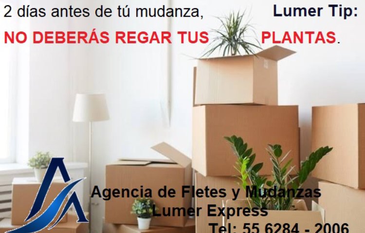 LumerExpress tweet picture