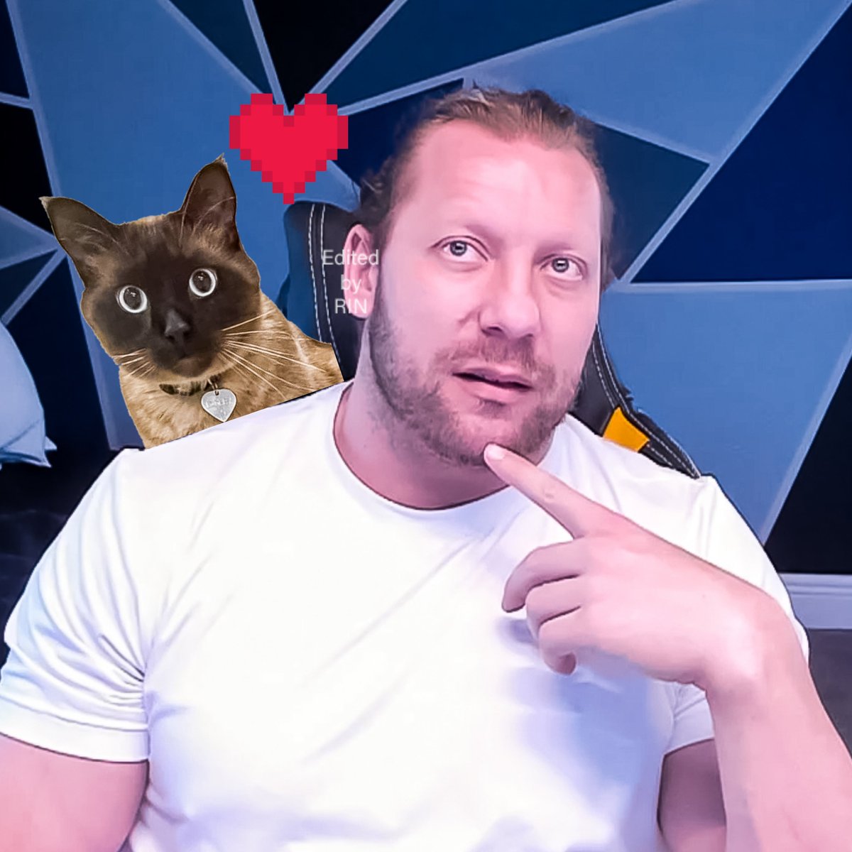 t_to_k0926_Rin's tweet photo. (*´˘`*)♥#KennyOmega #Dobby
#TheCleanersCorner #Twitch https://t.co/nHws023K7w