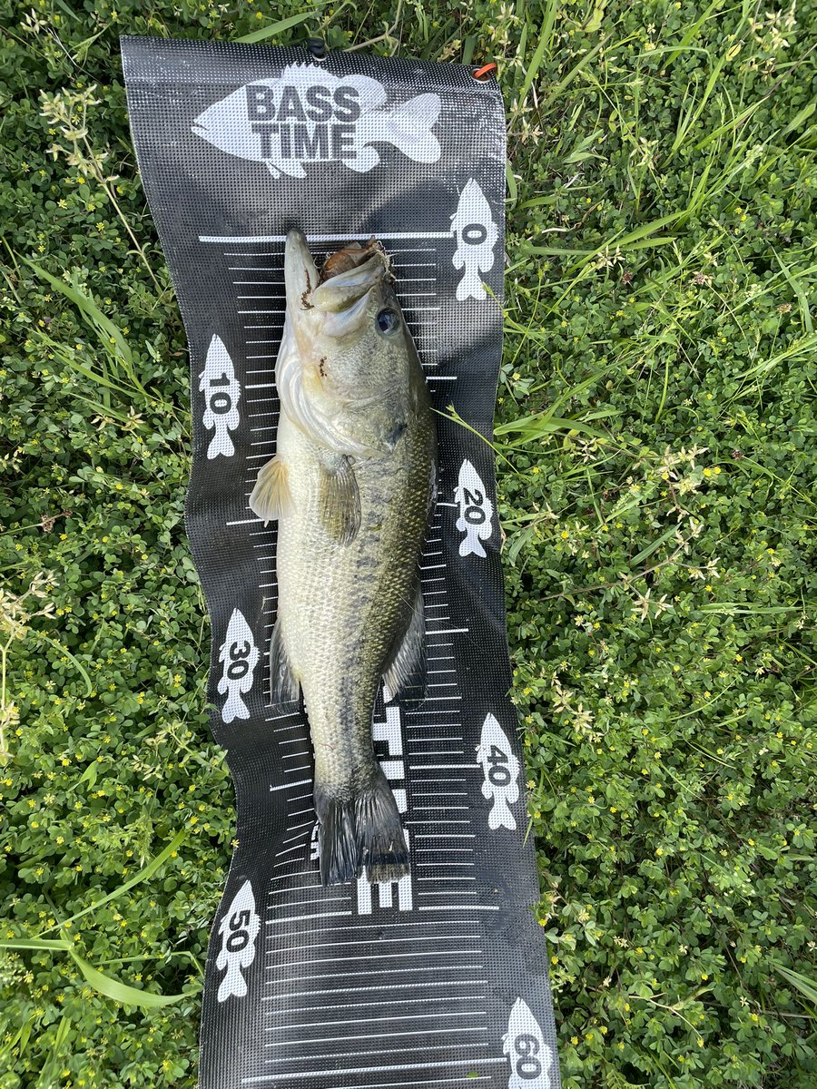 oairParb19fg5JF's tweet photo. バスタイムさんのメジャーにしてからデカい魚ばっかり
メジャーパワーだwww
使いやすいしかっこいいし、オススメです!
クルクルしてゴムで止めるのも
ぶら下げられるカラビナも
デザインも
どれもgreatです!
ありがとうございます!
#バス釣り
#basstime https://t.co/g0nSnILcdO