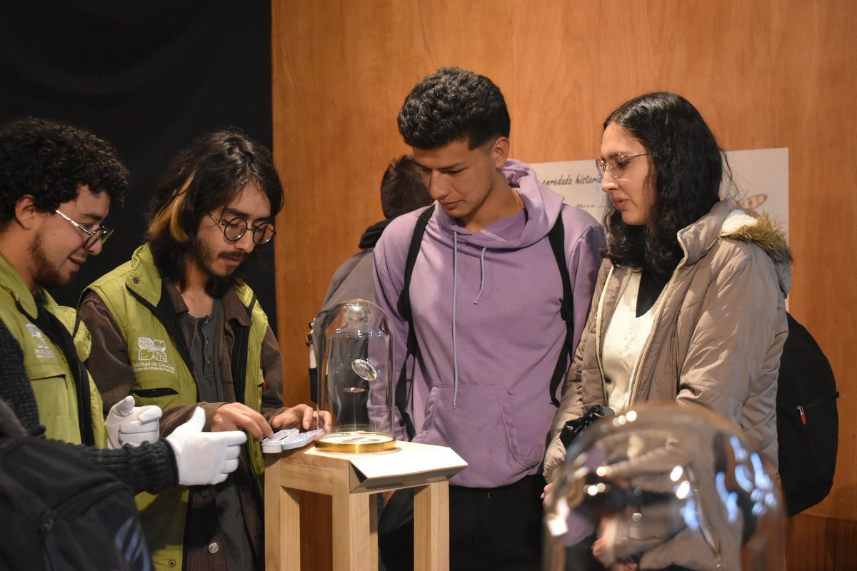 #Hoy celebramos la inauguración de la exposición Tineola bisselliella, hecha por polillas, una obra del artista e investigador Marthin Rozo. En ella, asistimos a una colaboración silenciosa entre el tiempo, la materia y la vida: capullos tejidos por polillas. 🌿🐛