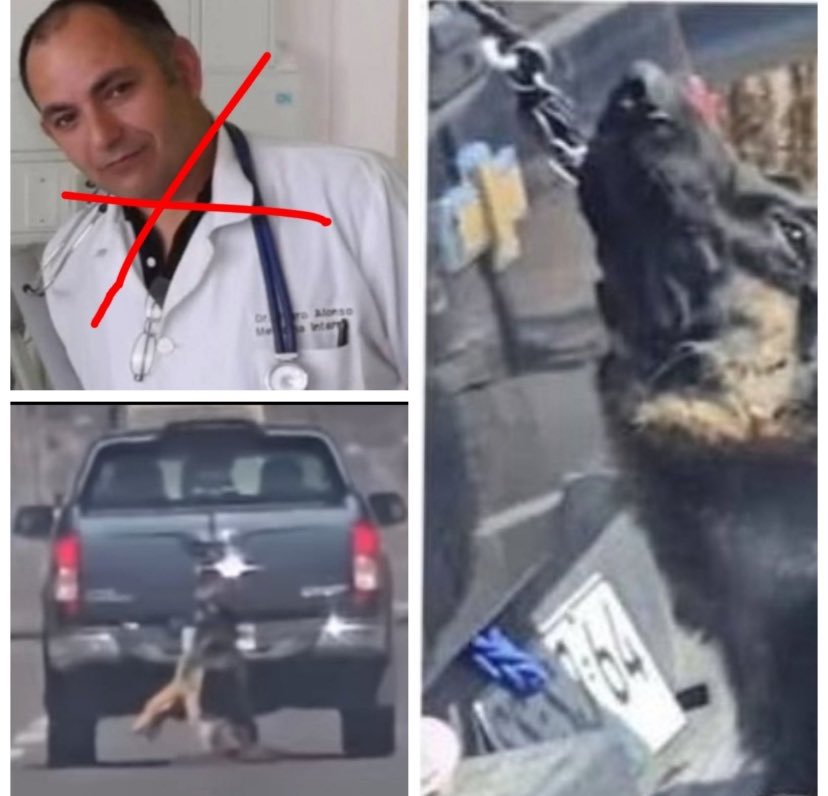 #alvaluca cárcel para ti! Tienes que pagar el daño ,el horror que le hiciste a tu perrito 🐶 tu causaste su muerte! Y espero que no nos defraude la <a href="/PDI_CHILE/">PDI Chile</a> ,lo correcto es que te desvinculen ahora! RT