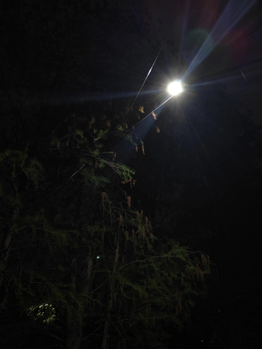 The lights at night are the gentleness of the city. The wind blows the shadows of the trees and also blows away the fatigue of the day. In such a night, even thoughts learn to be quiet #nightlife