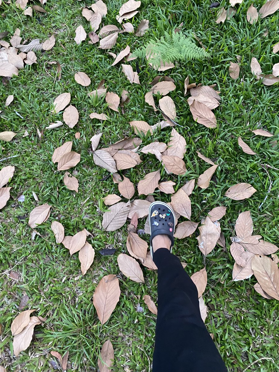 Men_Sereyyuth's tweet photo. It’s been a while since I touch some grass 💀#kitgaming https://t.co/XfwIUZMOIR