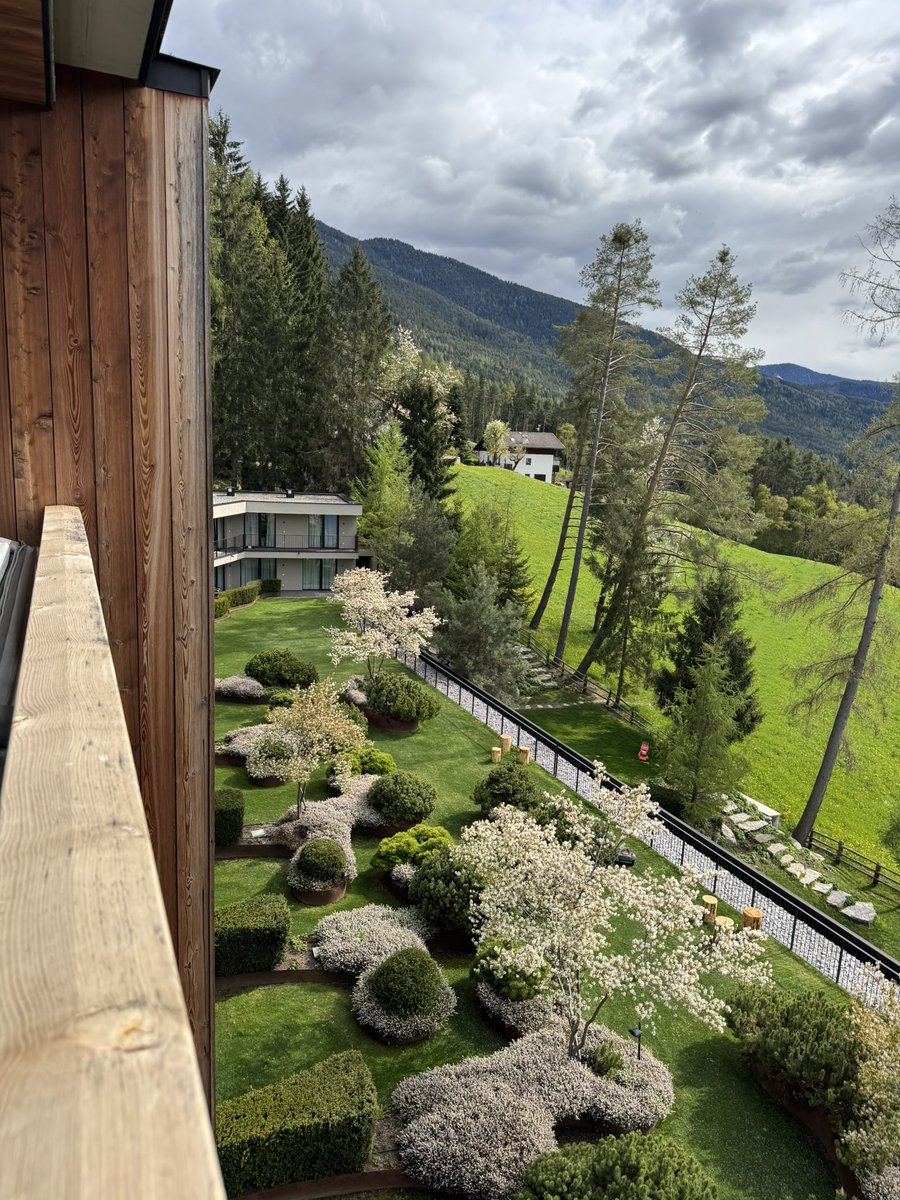 Claudio Sona tweet media