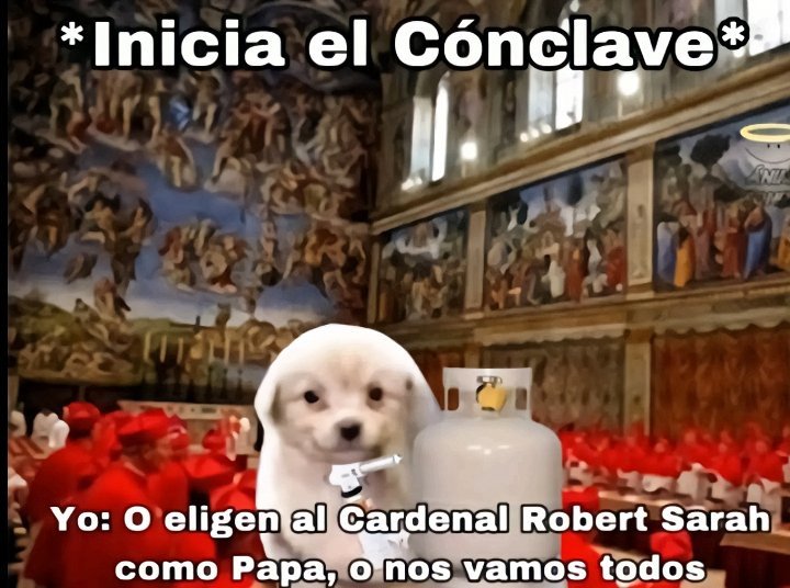 🏳️La verdad no se negocia.✝️Que elijan a #ROBERTSARAH o nos vamos todos con Francisco🧨