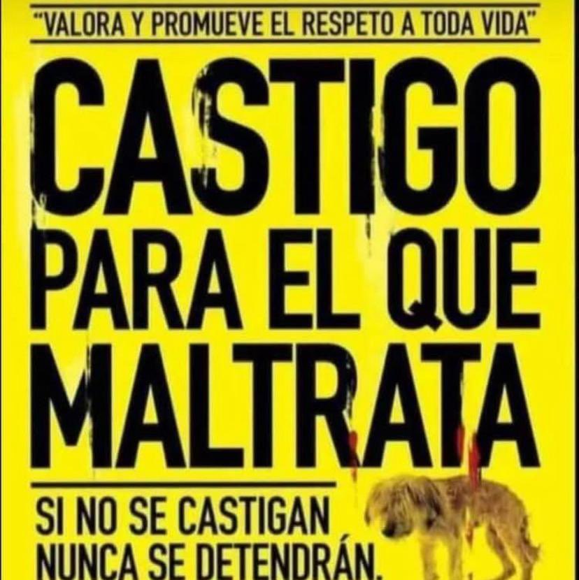 Que buena frase! Sino se castigan a los maltratadores nunca pararan ! <a href="/PJudicialChile/">Poder Judicial Chile</a> nefasto ,porque todos los que le hacen daño a los perritos 🐶 estén libres! Que vergüenza y horror!RT