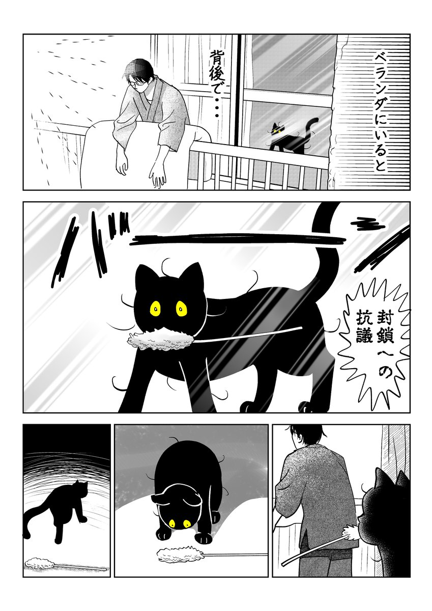 うちの猫です☺️ 猫「わからせてやるよ」 （2/8）