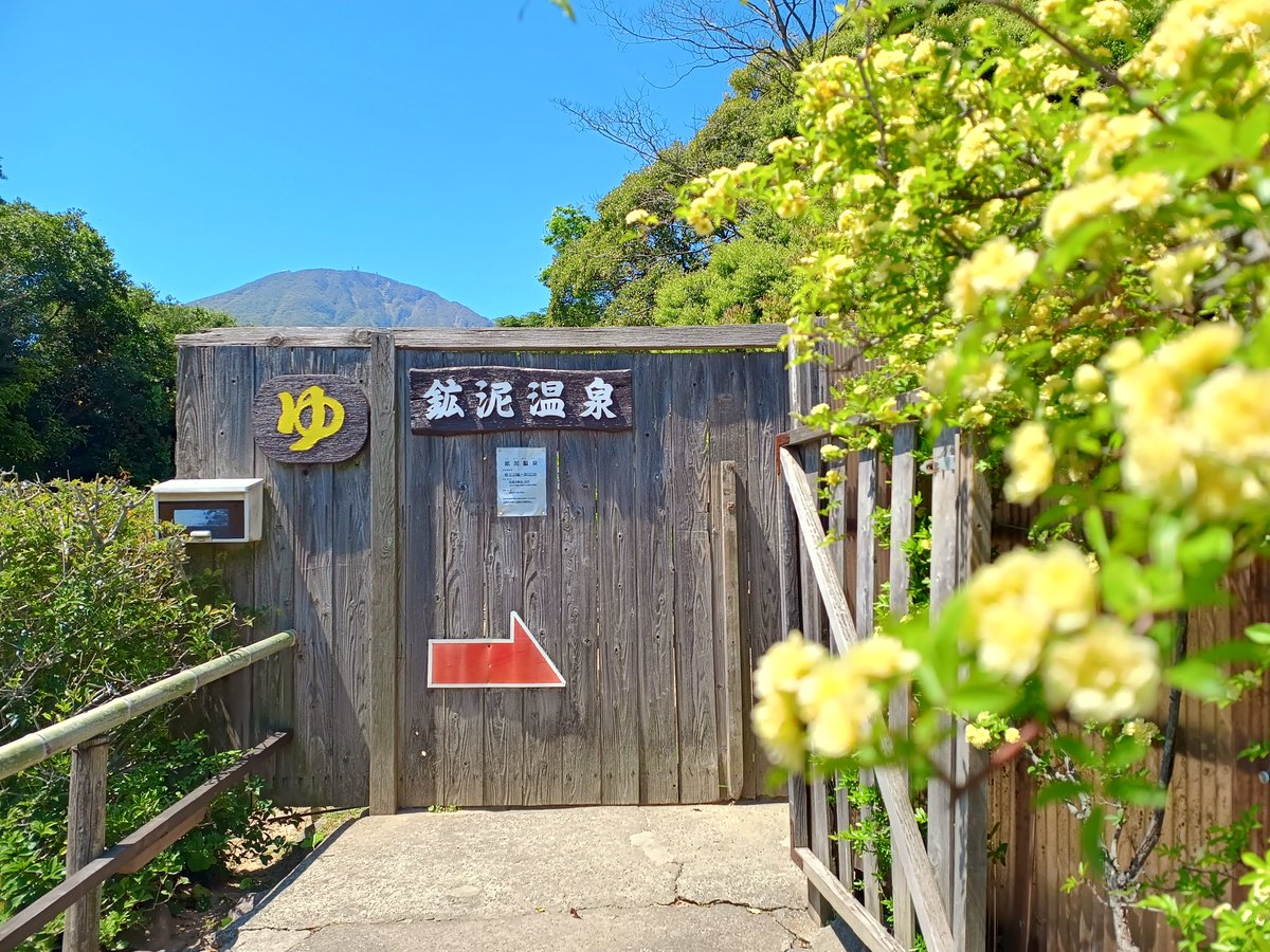 tabinoaka's tweet photo. 今日はピーカンの #大分 
午前中しかやってない　#鉱泥温泉　入ってきました！
坊主地獄の泥とお湯が使われてて、すごくあったまった😊

この後の予定はちょっと流動的
なんか風邪がぶり返してきたみたいな…😇 https://t.co/LjJLbw6QPA