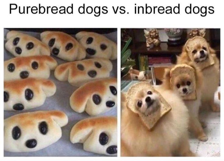 i like food tweet media