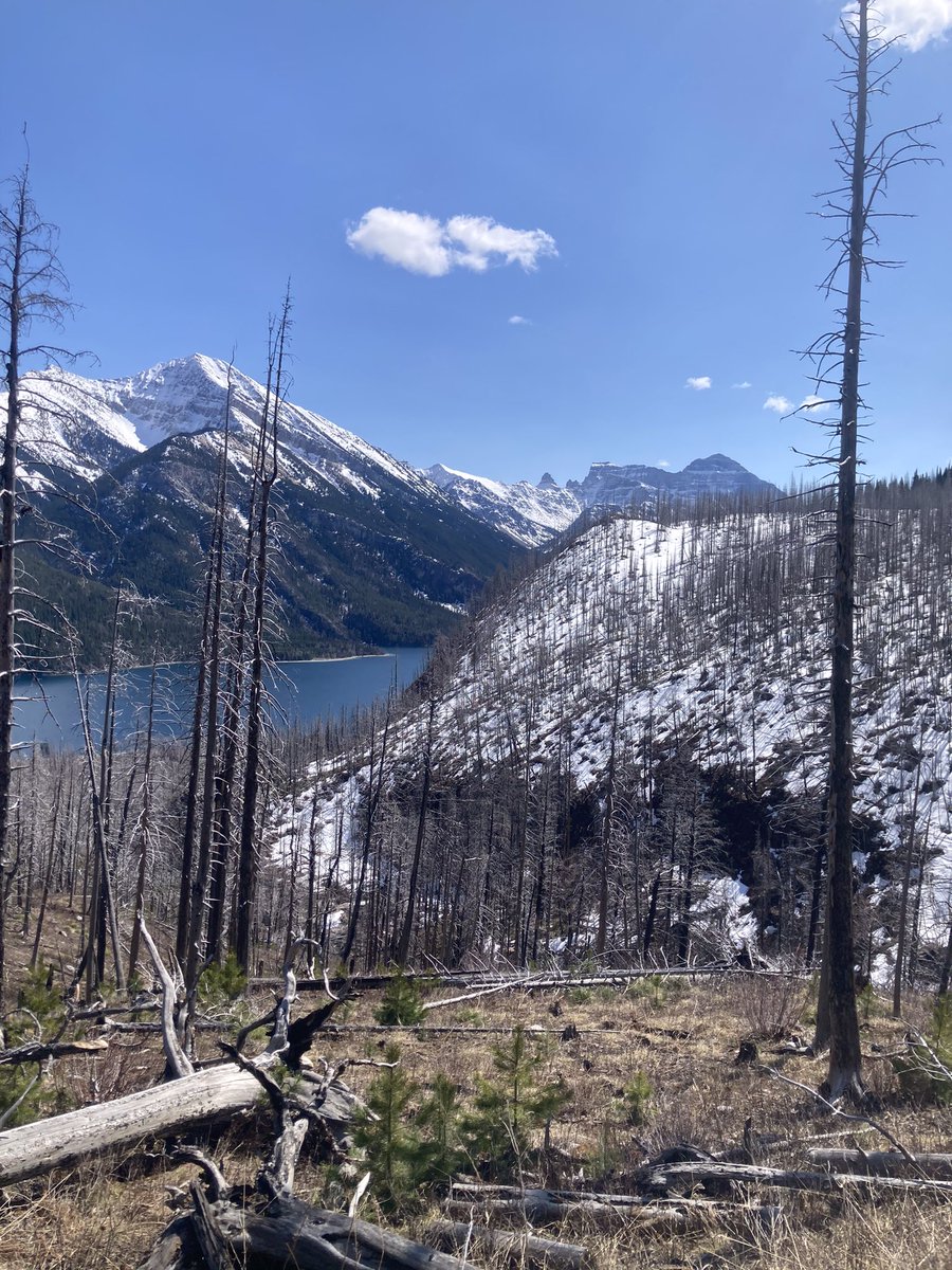 Got over an inch of rain so spent a day and half in Waterton