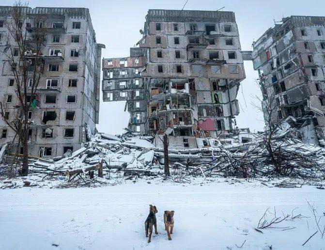 “The fighting needs to stop… there needs to be peace.”

First of all, Ukrainians want peace more than anyone. But they also understand better than anyone that if they were to stop fighting and allow russia to occupy Ukraine, change the government in Kyiv, far more people would