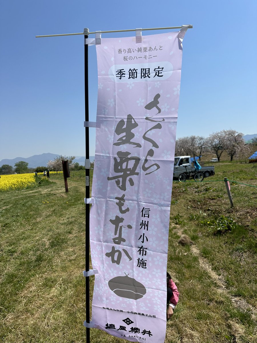 obusenoshioya's tweet photo. 塩屋櫻井は太陽の丘マルシェに出店してます🌸天候にも恵まれて開催中。
お近くの方はぜひお越し下さいませ！
日程: 4/26(土)・29(火)   10〜15時
小布施町 千曲川河川公園
▽詳しくはこちらより
https://t.co/TxPs5DhBr8 https://t.co/Qbxk7vDWNj
