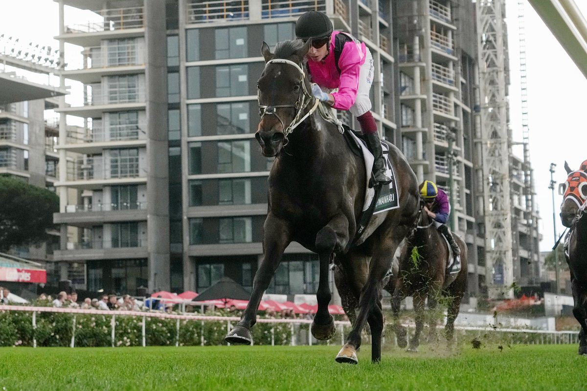 Smart horse! What level can Scott Cameron's five-year-old get to? <a href="/FKersley/">Freddie Kersley</a>