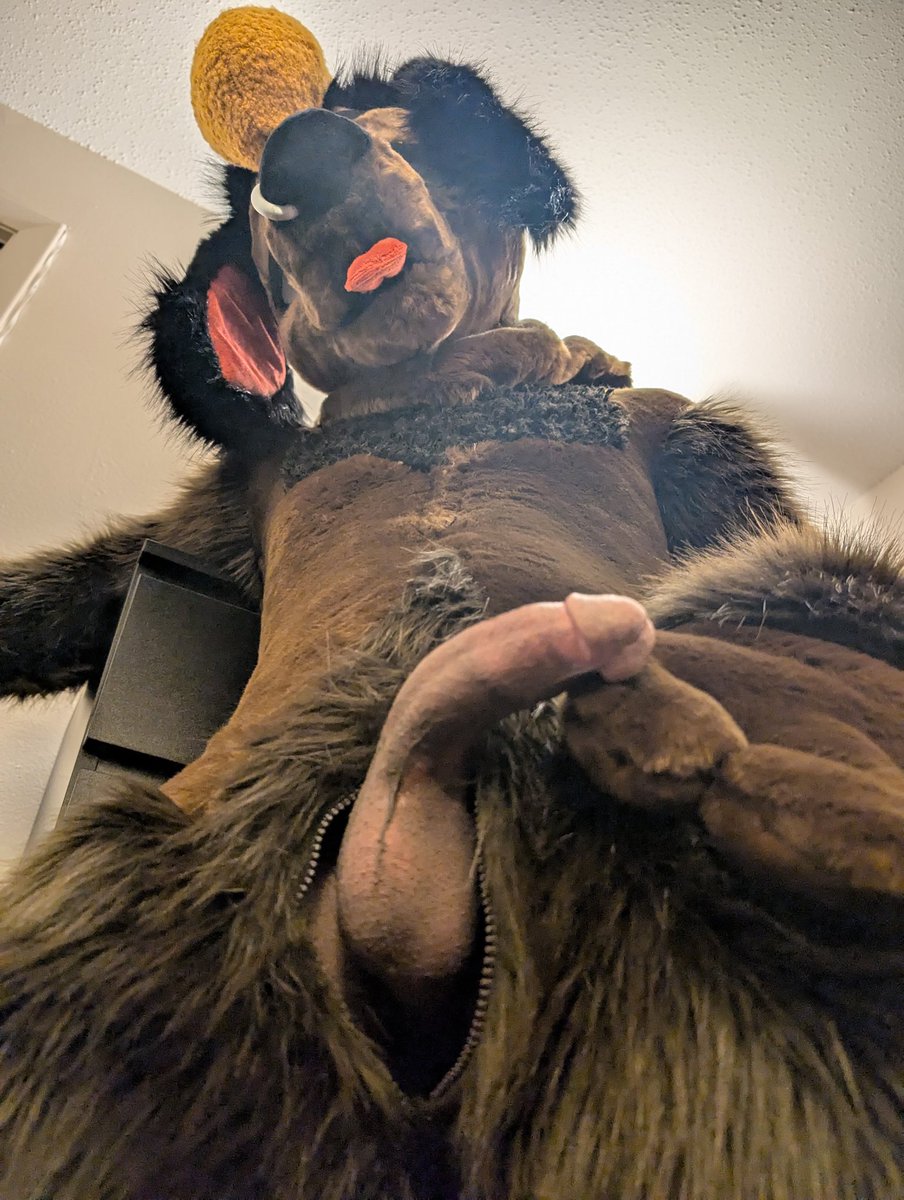 You can pet. I don't bite. ;3