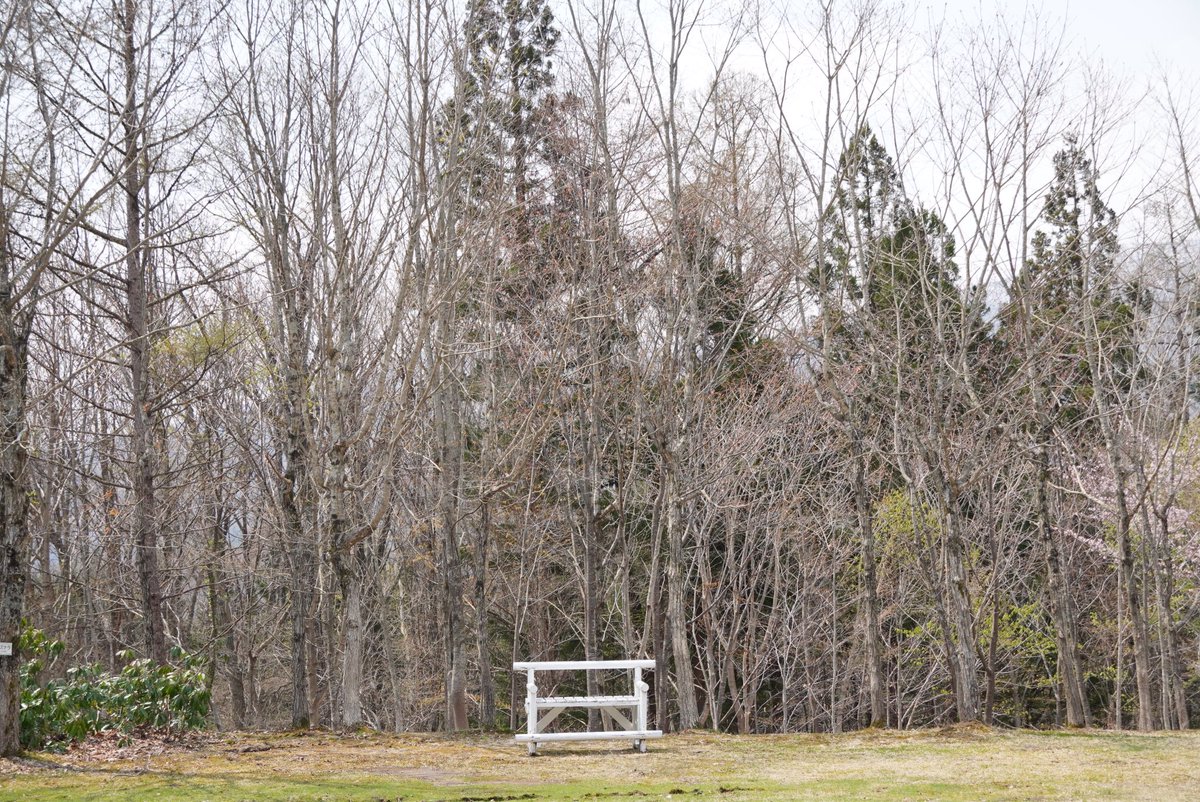 コタンの森 コタンの森 ゆこたんの森 - 宿泊予約は＜じゃらんnet＞