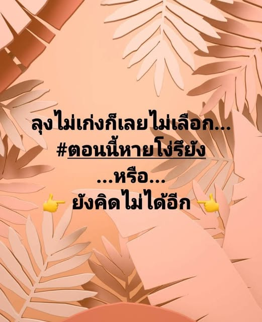 สรุป..ควายแดงควายส้มยังคงโง่อยู่เหมือนเดิม.....555