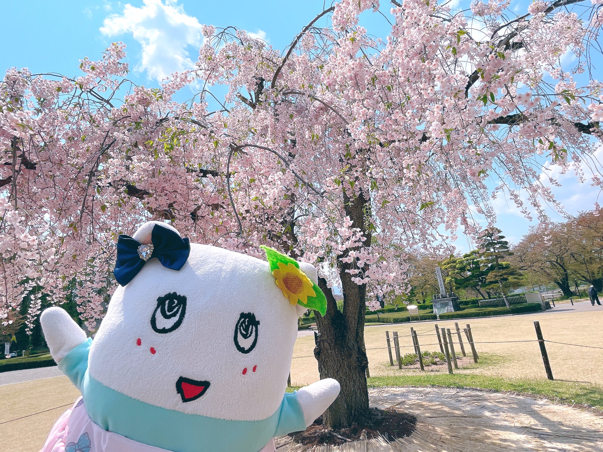はるか❤︎224(ฅ'ω'ฅ)ྀི (@haru_funya224) / X