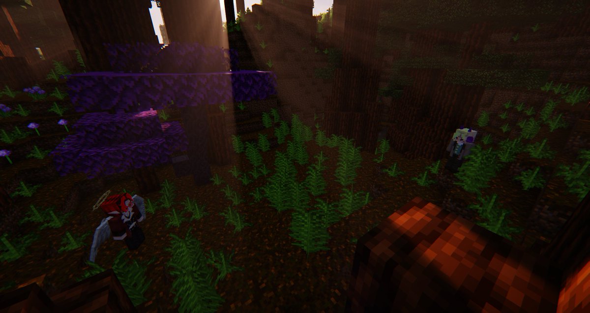 LostSerenitySMP's tweet photo. Next Main Lore Day is Coming in Two Days. In the Mean Time lore is happening to on these Streams.
achaxynex - Twitch
roes316 - Twitch
CptExcaliber - Twitch
Cyanstars27 - Twitch https://t.co/xuSxTGIhE7