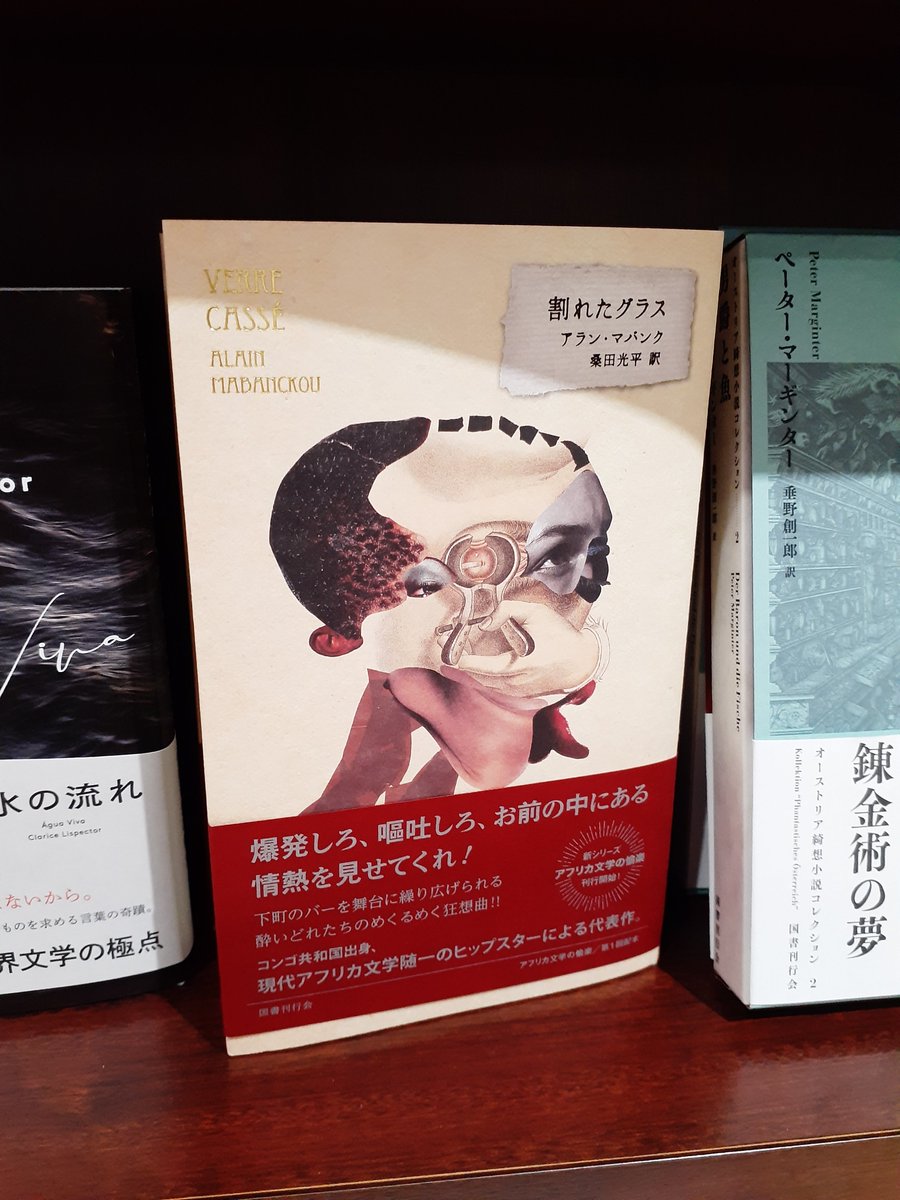 現代アフリカ文学の最前線を紹介する、新海外文学シリーズ《アフリカ