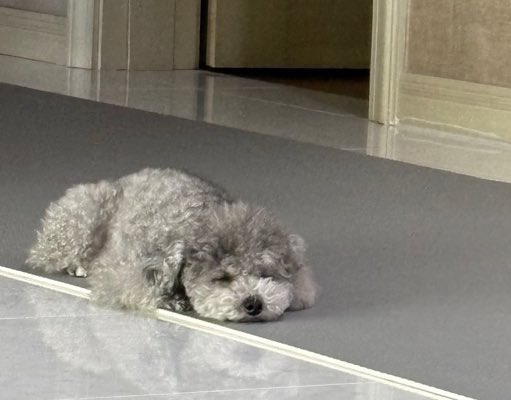 hourly_zero's tweet image. ZERO UPDATE 🫧