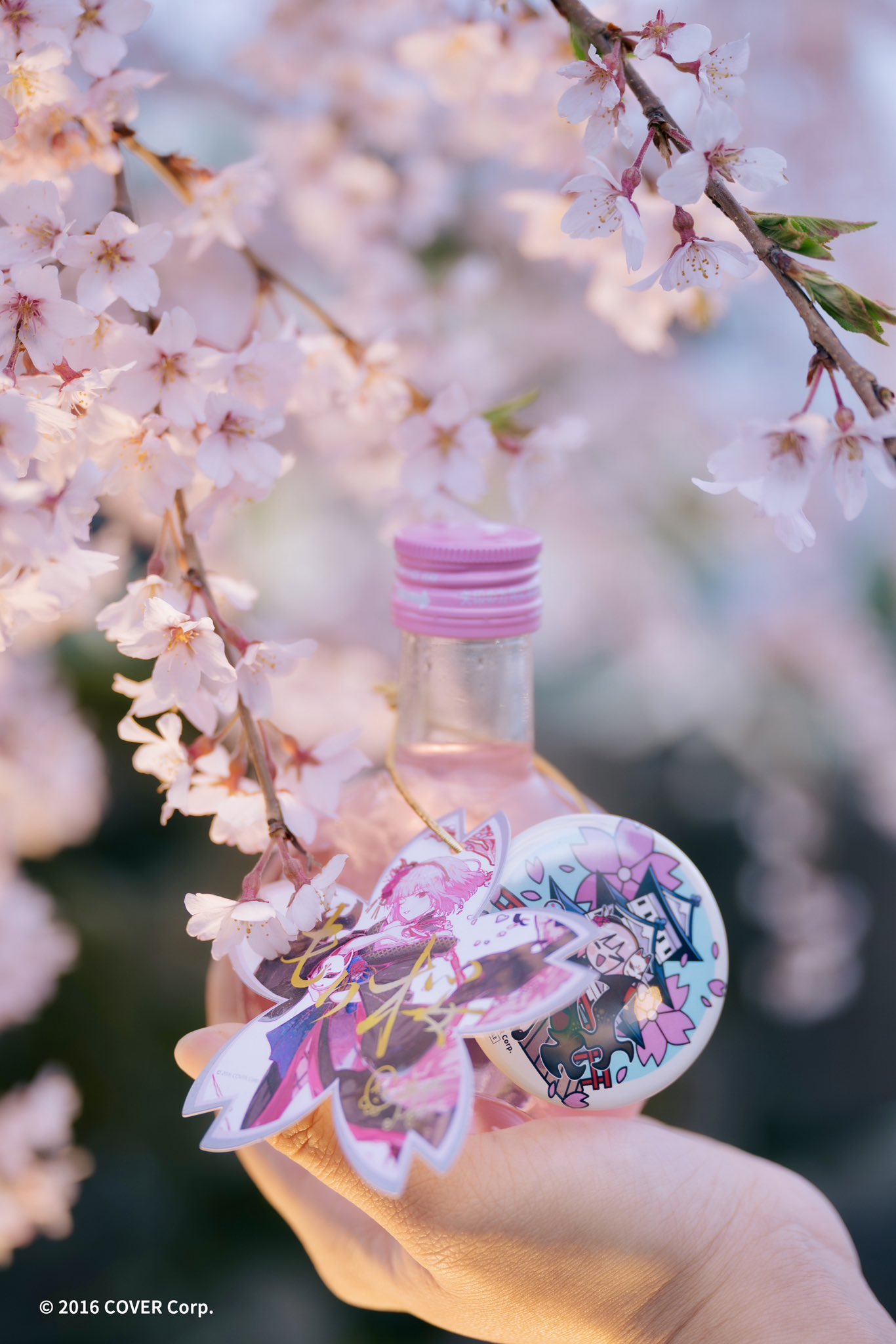 MoriZakura もり桜 (@Mori_Zakura) / X