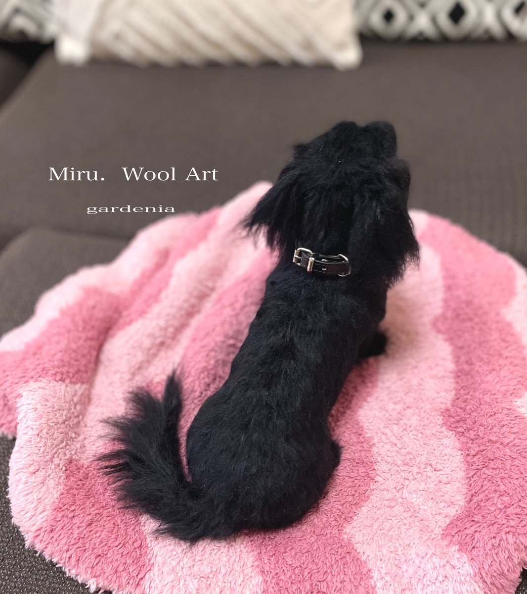 Miru. 羊毛フェルト tweet media