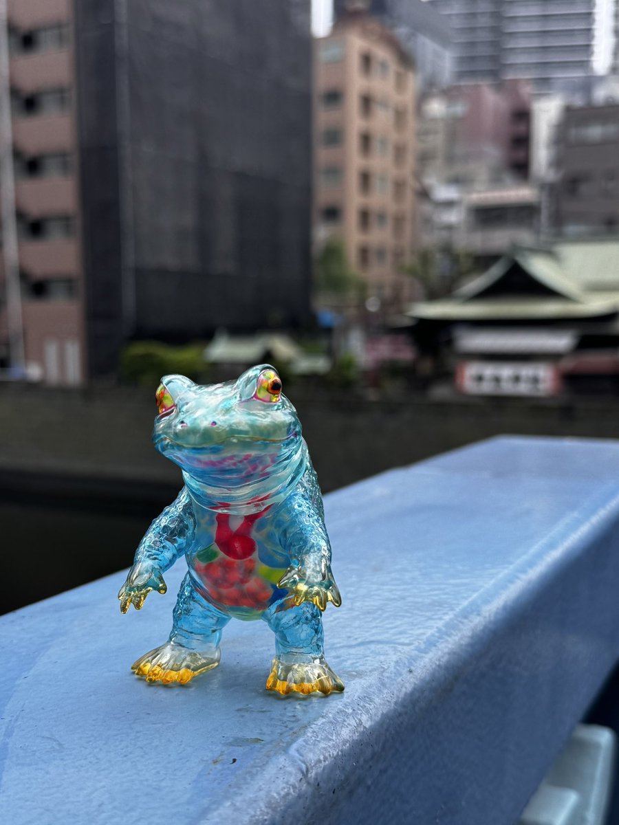 念願のケロンガ てにをはカスタム買えた😭 2年ぶりの再会🐸 再販、感謝