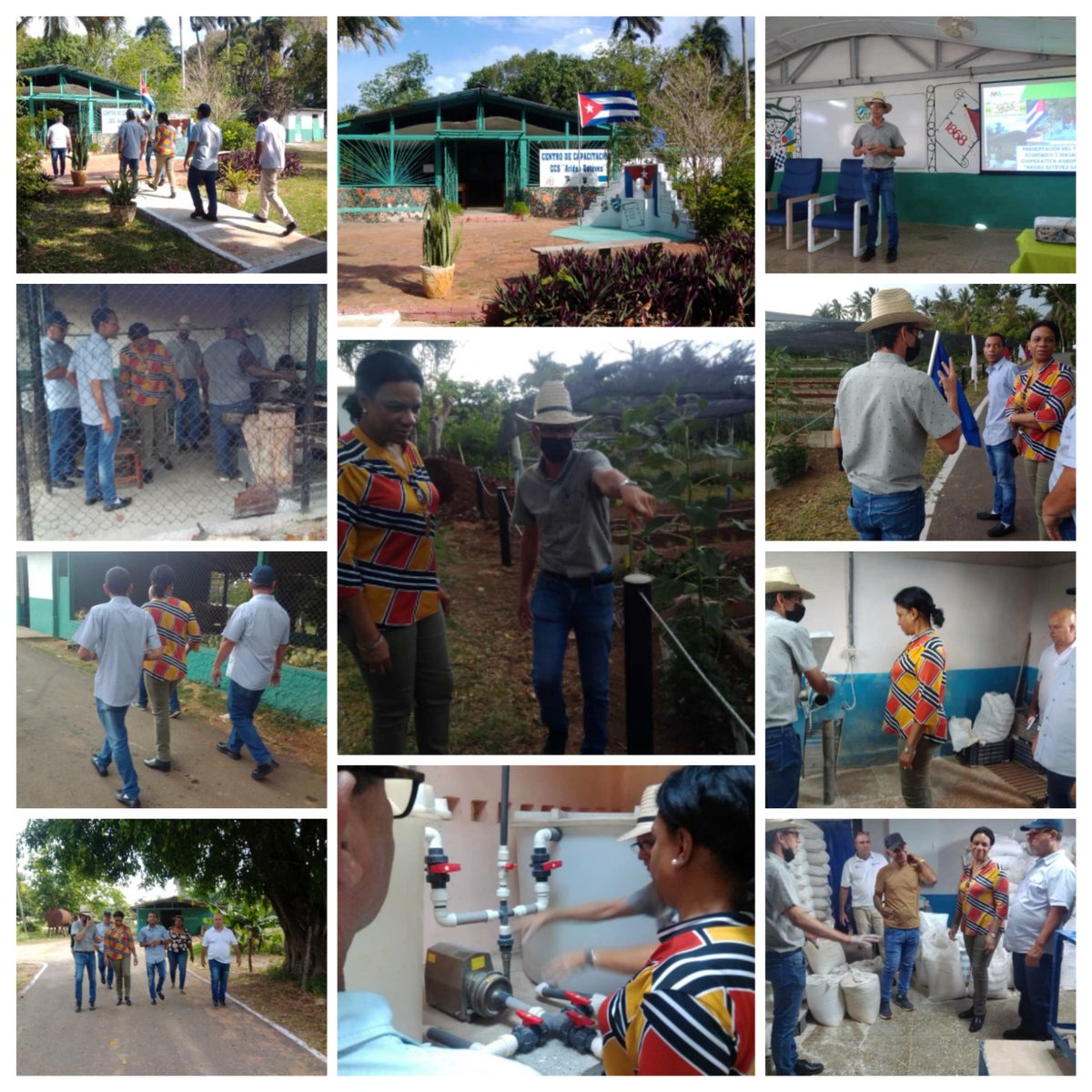 Otro punto en el recorrido, la cooperativa agropecuaria Arístides Estévez, el ingenio e intenso trabajo dan resultados desde producción agropecuaria y no se detienen. En el municipio playa se cultiva la tierra y aportan al sector social #EnCubaJuntosCreamos