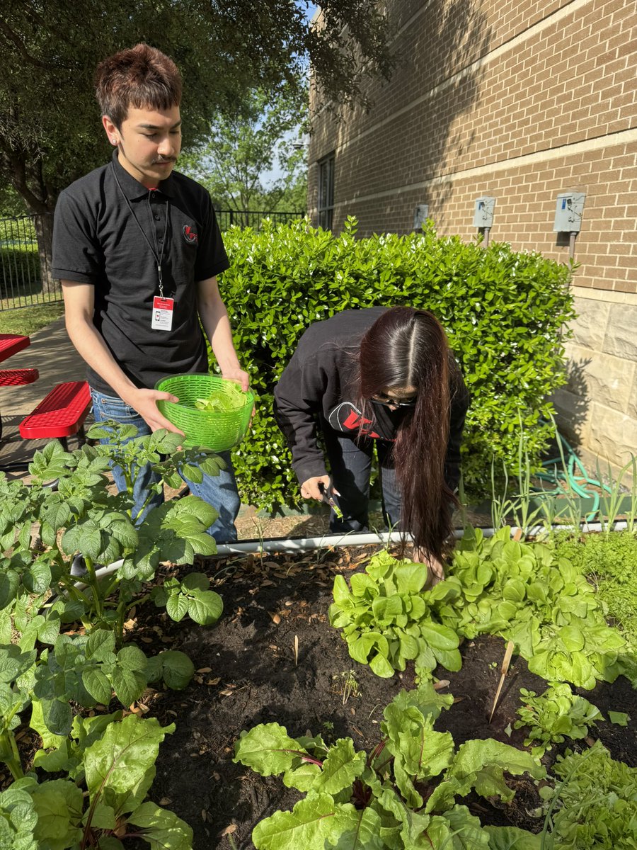 Allison Stephens tweet media