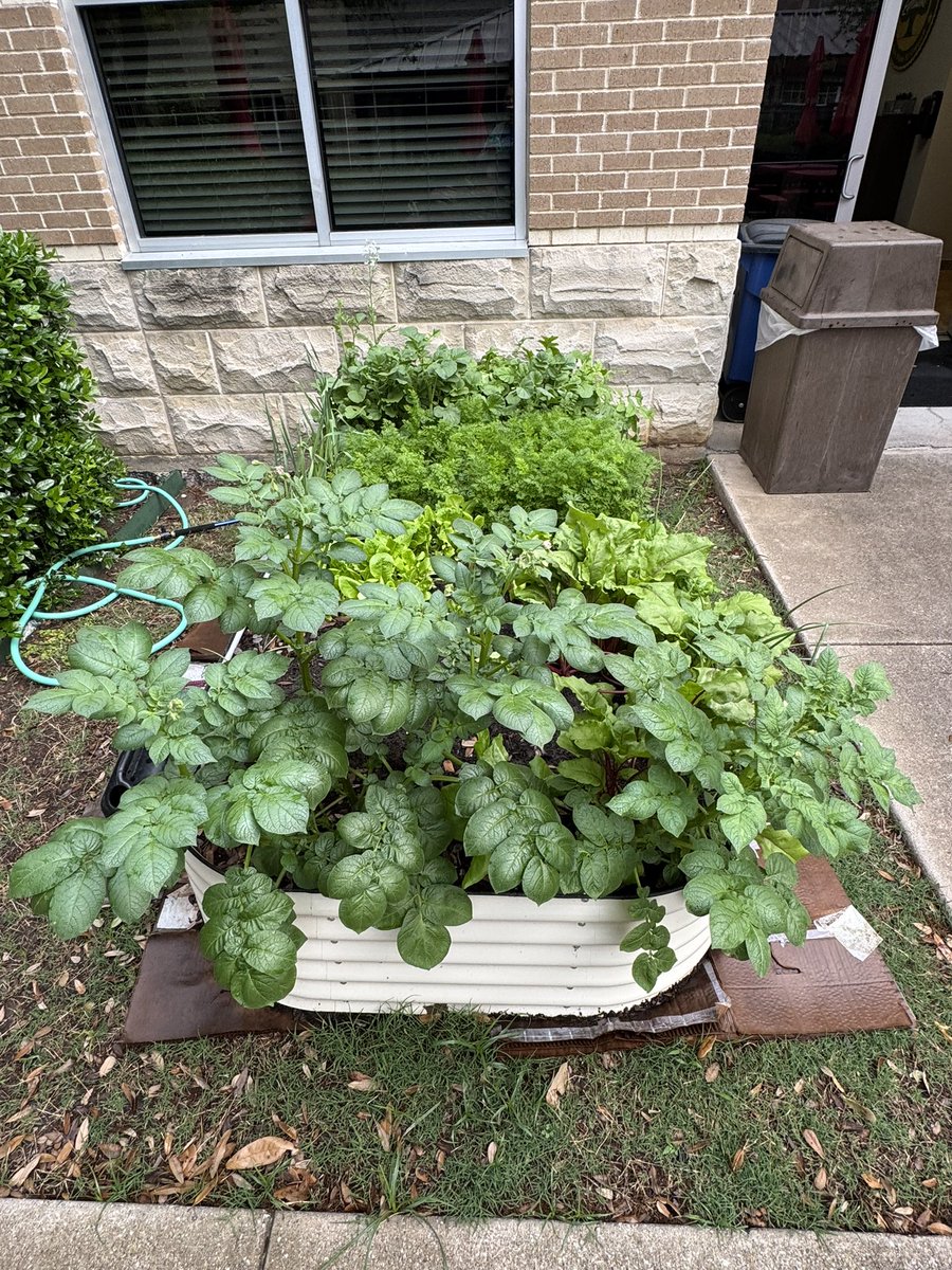 Allison Stephens tweet media