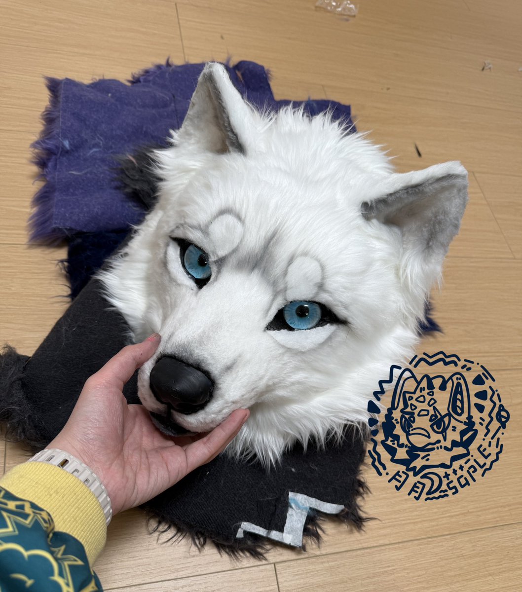 amoonifito's tweet photo. white wolf ～

tag: #furry #fursuit https://t.co/puKZHkzTGf