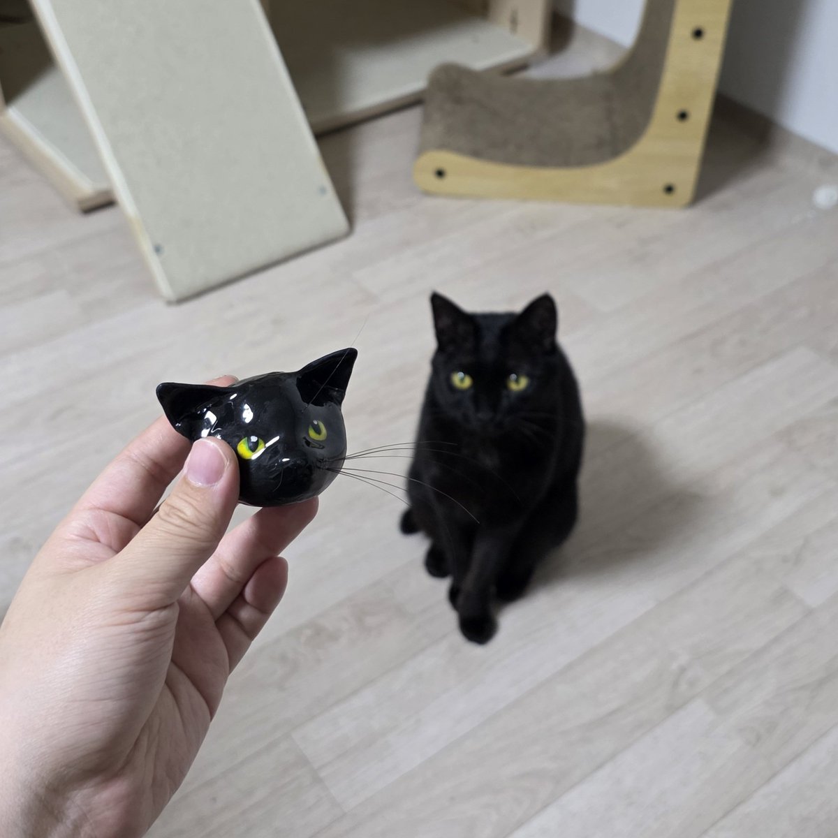 그동안 모은 고양이 수염 보관하려고 만들었는데 몸은 언제 만들지