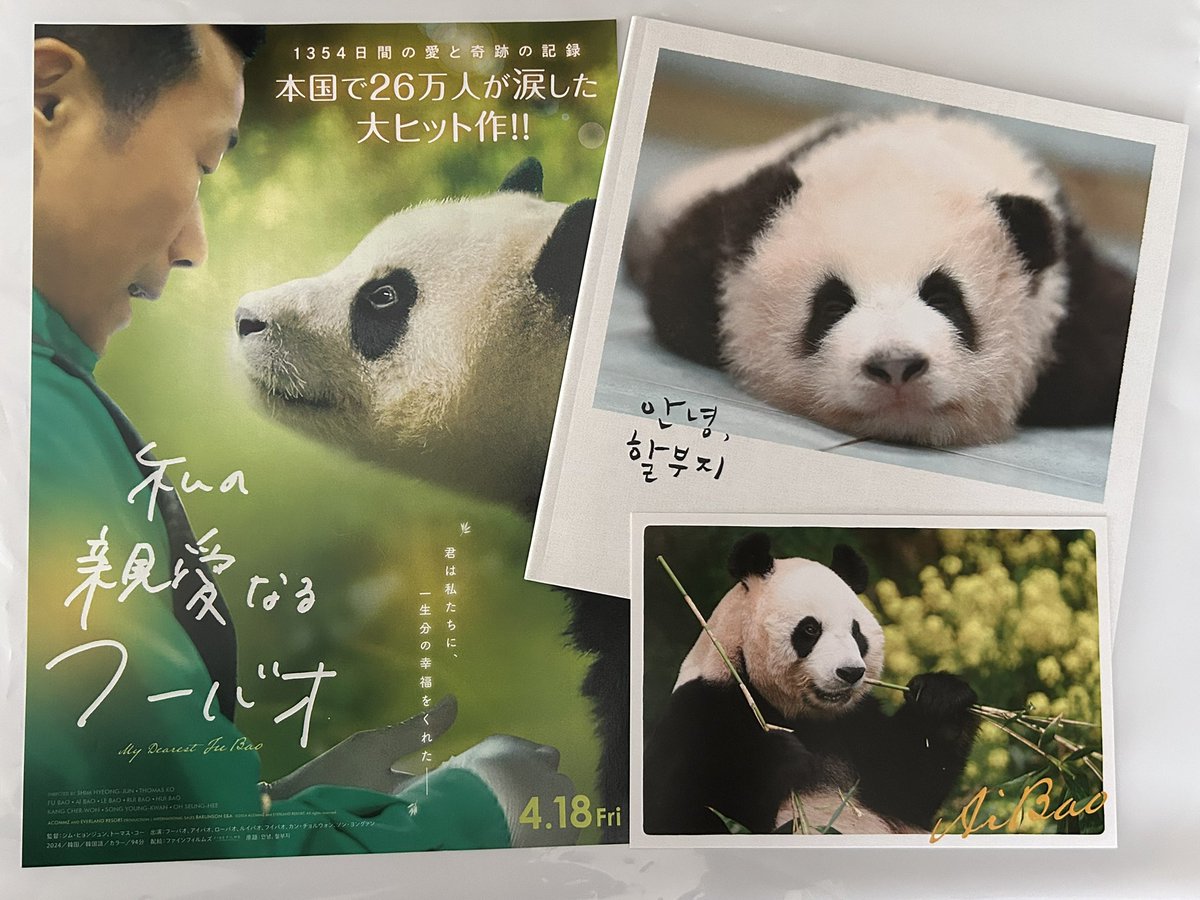 moko_625's tweet photo. 2回観ても…泣ける…🐼💦
誕生の瞬間から条約で決められた中国への返還を知る飼育員さん達の愛情あふれる関わりと絆に胸が熱くなる🥹💦
福岡は5/1が最終上映みたいなので、もう一回観に行こうかなぁ〜😃🐼✨
#私の親愛なるフーバオ https://t.co/6upbLaK6XM
