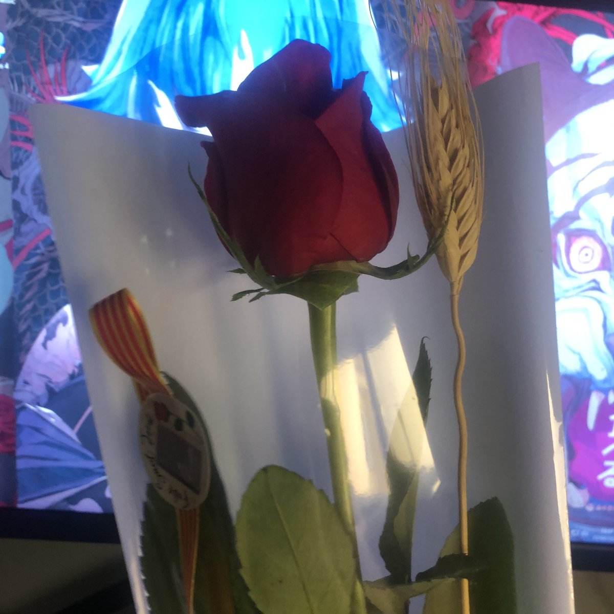 Oh rosa, espejo sangrante del deseo… 
Cada espina tuya me recuerda lo que amé y ya no existe 💗