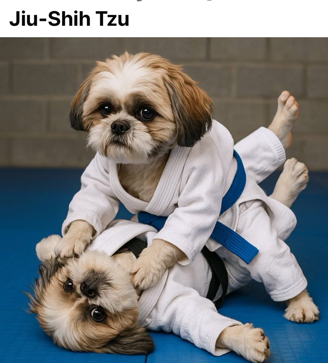 CCTV_IDIOTS (@cctv_idiots) on Twitter photo 