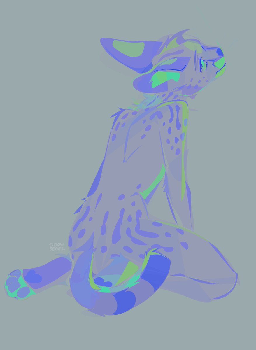 lex 🍳 tweet media