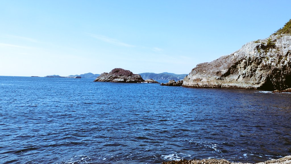 久し振りの釣り‥‥何も釣れず😂

風が強いけど良い天気です☀

#門川町