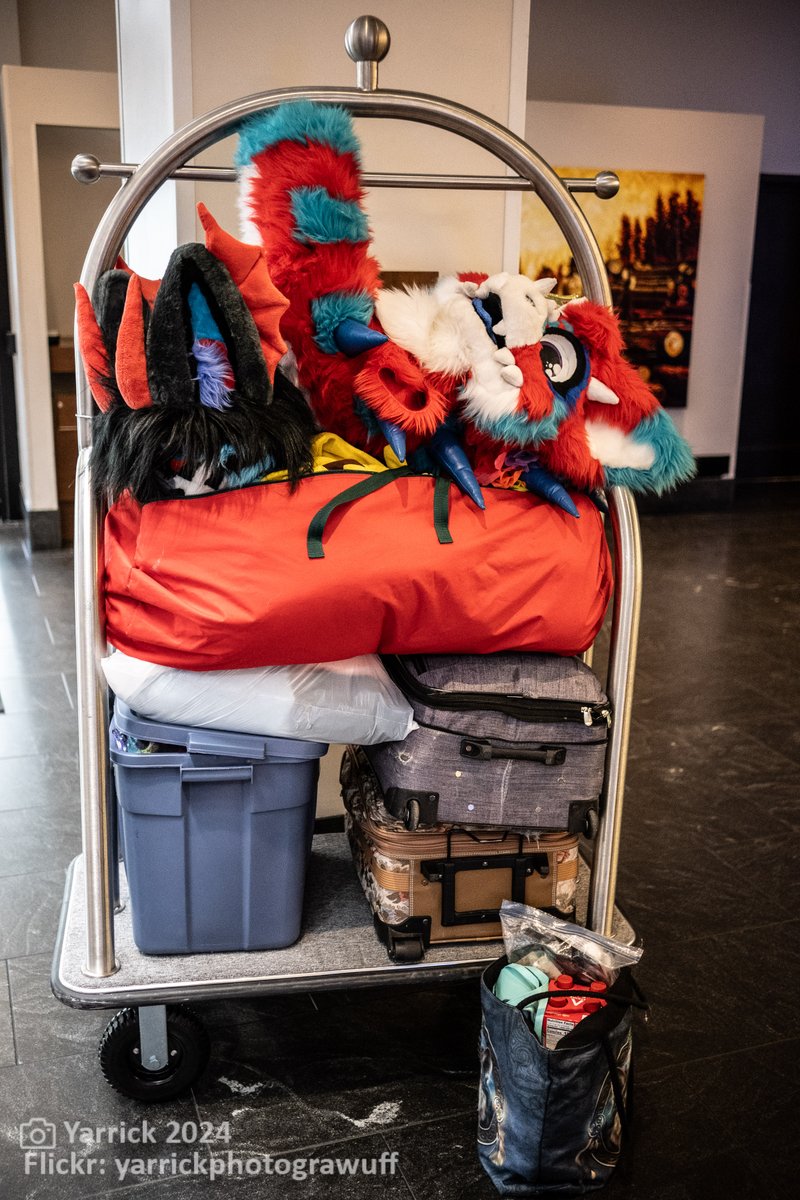 Furry Migration (@furrymigration) on Twitter photo Esteemed Gala guests, the room block is now LIVE! 
Waltz over to the link below for more information and to secure your room! Do note that suites are currently being held  and will open at a later date.
furrymigration.org/venue/hotel Esteemed Gala guests, the room block is now LIVE! 
Waltz over to the link below for more information and to secure your room! Do note that suites are currently being held  and will open at a later date.
furrymigration.org/venue/hotel