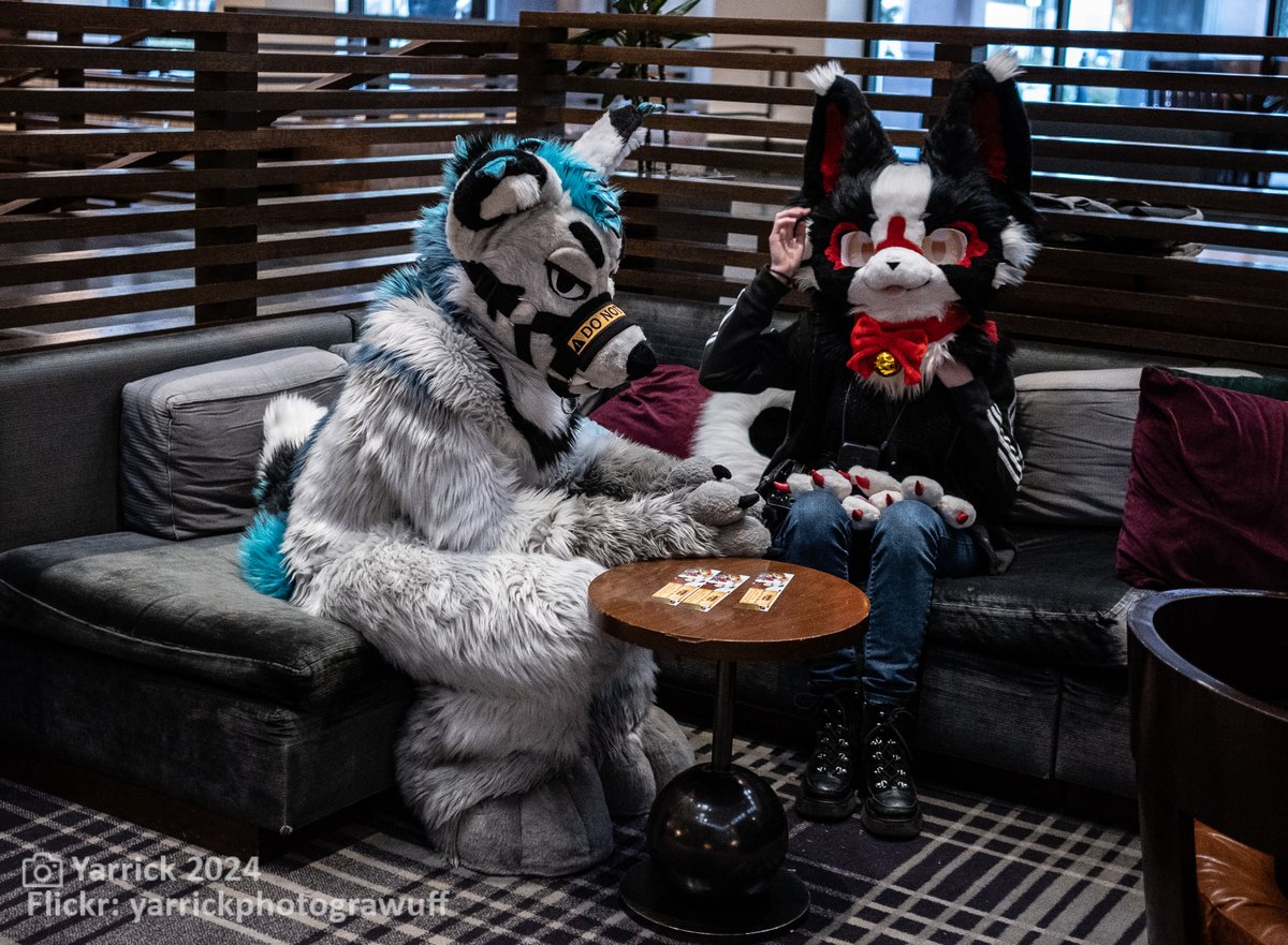 Furry Migration (@furrymigration) on Twitter photo This is a 24 hour warning: the hotel block goes live TOMORROW at 12pm CDT!  
To find the booking link, as well as information regarding our block, go to furrymigration.org/venue/hotel This is a 24 hour warning: the hotel block goes live TOMORROW at 12pm CDT!  
To find the booking link, as well as information regarding our block, go to furrymigration.org/venue/hotel