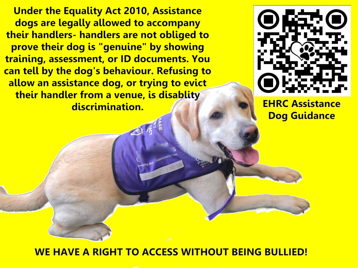 Bethann Siviter tweet media